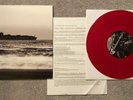 Gillian Carter - Lost Ships Sinking With the Sunset vinyl 10” EP  record RARE