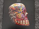James the Band - Tim Booth - Rare La Petite Mort Vinyl 2 x 180g LP