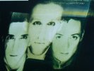 LP, Album The Wild Swans - Bringing Home The Ashes