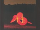 BADAROU, Wally - Colors Of Silence: The Unnamed Trilogy In The Making - LP