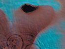 Pink Floyd Meddle (Vinyl)