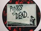 2001 (1981) THE EXPLOITED Punks Not Dead UK IMPORT Picture Disc #AHOY PD 521