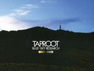 Taproot 