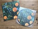 Lana Del Rey - Violet Bent Backwards Over The Grass, Cream Vinyl & Picture Disc