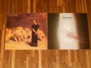 The Sound - LP + MLP - From The Lions Mouth & Shock Of Daylight - Adrian Borland