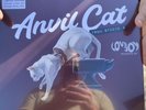 ANVIL CAT - FROM STUDIO 4 - LOVEJOY White Vinyl LP Record Store Day Black Friday