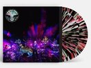 Black Angels, The Levitation Sessions (RSD11.24.23) Records & LPs New