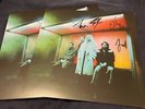 Wolf Alice Blue Weekend Black Vinyl Record LP with Signed Print