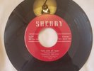 45 RPM 60S GARAGE/FANTASTIC DEE-JAYS/THIS LOVE OF OURS/APACHE    VG++