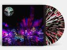 The Black Angels - Levitation Sessions - Black Friday 2023 |