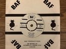 Reggae The Cats ‎– Swan Lake / Swing Low BAF ‎1 Near Mint Original sleeve.
