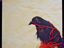 Transatlanticism by Death Cab for Cutie 2003 GHvC Misprint Germany Near Mint
