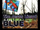 New Music The Jesus Lizard 