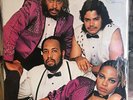 [SOUL/FUNK] EXC LP MTUME Juicy Fruit [Original 1983 EPIC Issue]