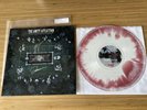The Amity Affliction This Could Be Heartbreak Cherry Vinyl LP Signed Ahren Joel