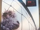 Pearl Jam Vs Vinyl 30th Anniversary Ten Club Dreamsicle Variant  Edition
