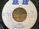 Alabama Garage R&B THE DEL-RAYS Fortune Teller / Dimples on R&H 7