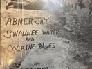 Abner Jay Swuanee Water and Cocaine Blues Record Vinyl LP 1970 Mono Rare Blues