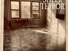 SHEER TERROR PALL IN THE FAMILY BROWN VINYL 12 RECORD EP IMPORT RR195 REBELLION