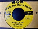Soul 45 The Charades on MGM