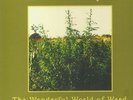 ZION TRAIN/THE TASSILLI PLAYERS - Wonderful World Of Weed in Dub (reissue) - LP
