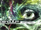 Pendulum Hold Your Colour (Vinyl) Limited  12