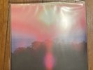 Grouper - Paradise Valley, Vinyl 7