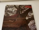 The Backseat Lovers - Waiting to Spill Anniversary Edition Ruby Vinyl LP SIGNED
