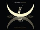 Tedeschi Trucks Band - I Am The Moon: II. Ascension (LP)