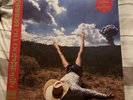 Geese 3D Country (Vinyl) 12