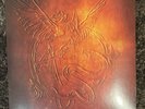 can't catch me now (limited etched 7” vinyl) - olivia rodrigo hunger games
