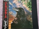 The Stranglers The Raven Promo 3D Obi White Label Album Rare