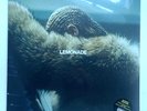 Beyoncé - Lemonade * 2 Vinyl Lp * 2017 1st Press Ltd Yellow & Film * Free P&P UK