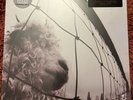 Pearl Jam Vs 30th Anniversary Edition Exclusive Clear Vinyl LP 2023