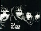 The Rapture - Echoes [New Vinyl LP]