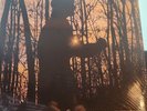Phil Keaggy Beyond Nature Vinyl Strobie Records Limited Edition