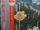 Pulsar (9) - The Strands Of The Future / VG / LP, Album