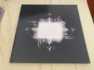 TOOL 2LP aenima