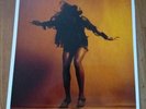 Everything You've Come to Expect - The Last Shadow Puppets (Vinyl GF 2016) NM