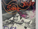 Sonic Youth 