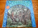 Creedence Clearwater Revival S/T Debut  Rare 1968 Fantasy Records Vinyl LP