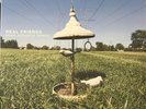 Real Friends More Acoustic Songs NEW/SEALED