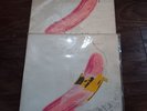 1967 The VELVET UNDERGROUND and NICO LP Andy Warhol LAWSUIT STICKER TORSO 2