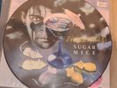 Marillion Sugar Mice 7
