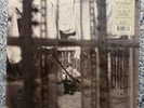 PAUL McCARTNEY - CHAOS & CREATION IN THE BACKYARD. 180gm Vinyl LP NEW / SEALED