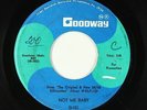 Northern Soul 45 - Silhouettes - Not Me Baby - Goodway - rare original