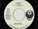 Northern/Sweet Soul 45 - Rosie Lopez - Too Hot To Hold - Pulsar - VG++