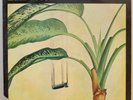 Exile House THE BOMB Afro Island Jazz Funk Cadence Masterpiece Clean LISTEN