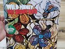 THE BEACH BOYS - WILD HONEY LP VINYL RECORD SEALED  1980 MONO REISSUE
