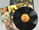 Florence & The Machine Lungs Album Vinyl Record 2010 Dog Days Youve Got The Love